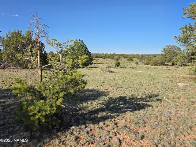 a view of ocean view with large trees
