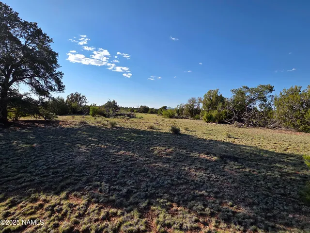 a view of a yard with a house