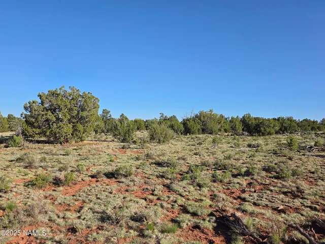 a view of a yard with a tree