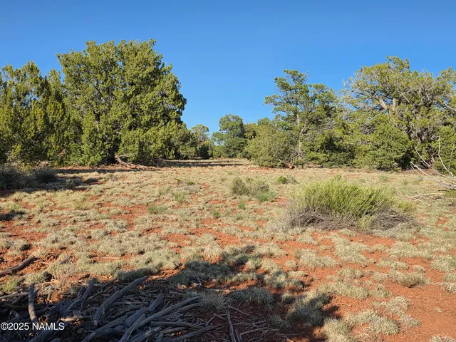 a view of an outdoor space with wooden fence
