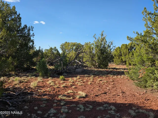 a backyard of a house