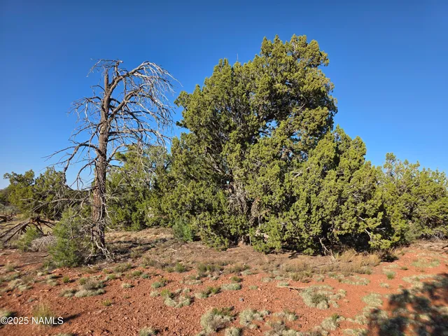 $65,000 | 9087 Hawkeye Circle, Williams, AZ 86046