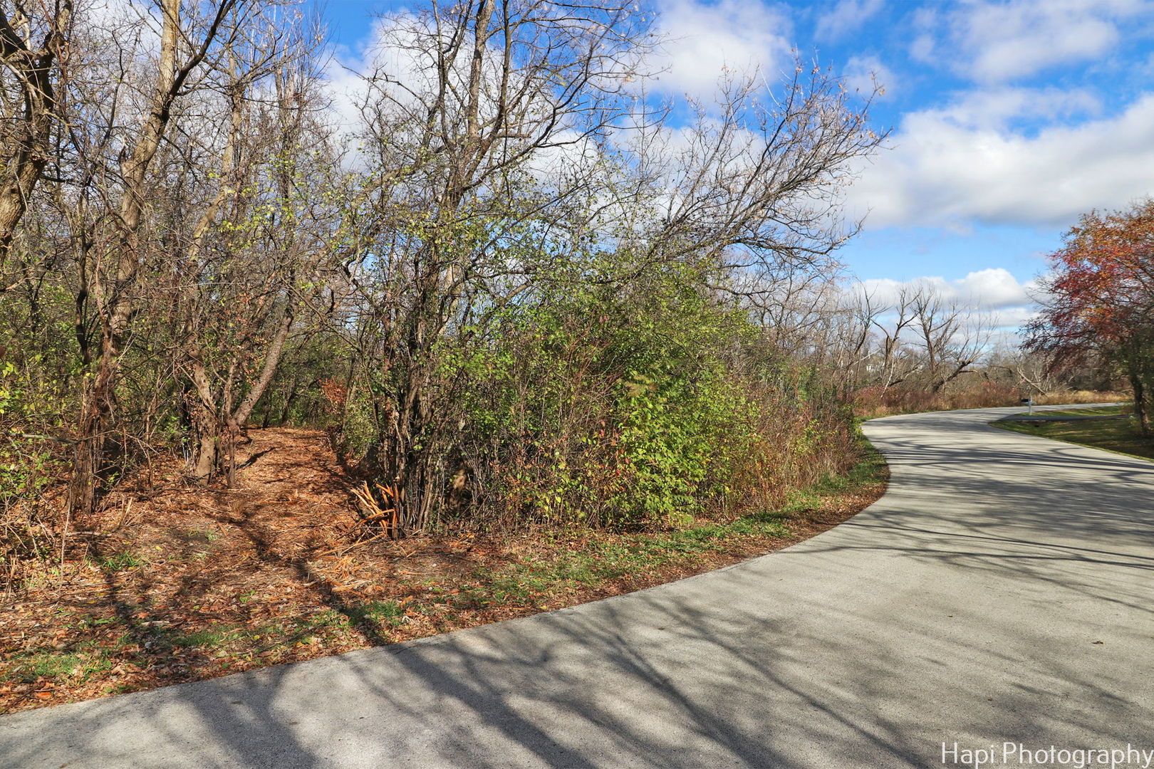 52 Overbrook Road South Barrington, IL 60010 - Photo 3 of 16 Gallery Image 3