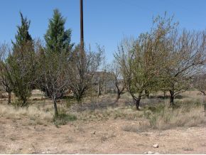 735 West Little Ranch Road Paulden, AZ 86334 - Photo 11 of 11 Additional Photo