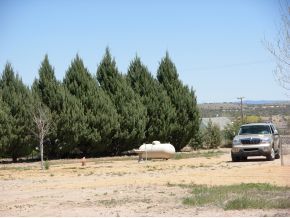 735 West Little Ranch Road Paulden, AZ 86334 - Photo 10 of 11 Additional Photo