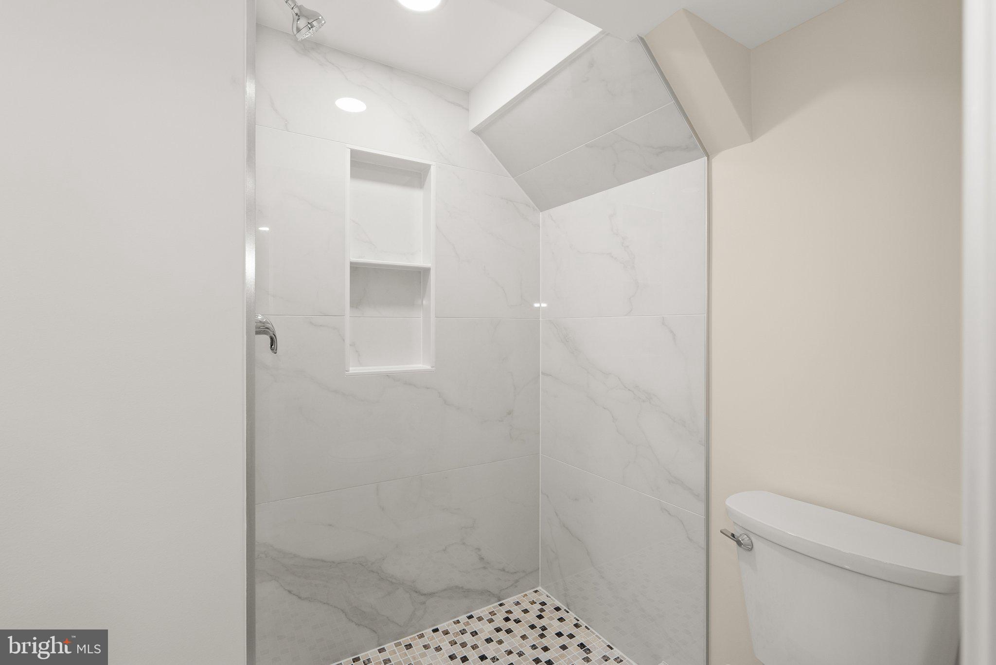 10110 McKenney Avenue Silver Spring, MD 20902 - Photo 37 of 56 a bathroom with a shower and a toilet