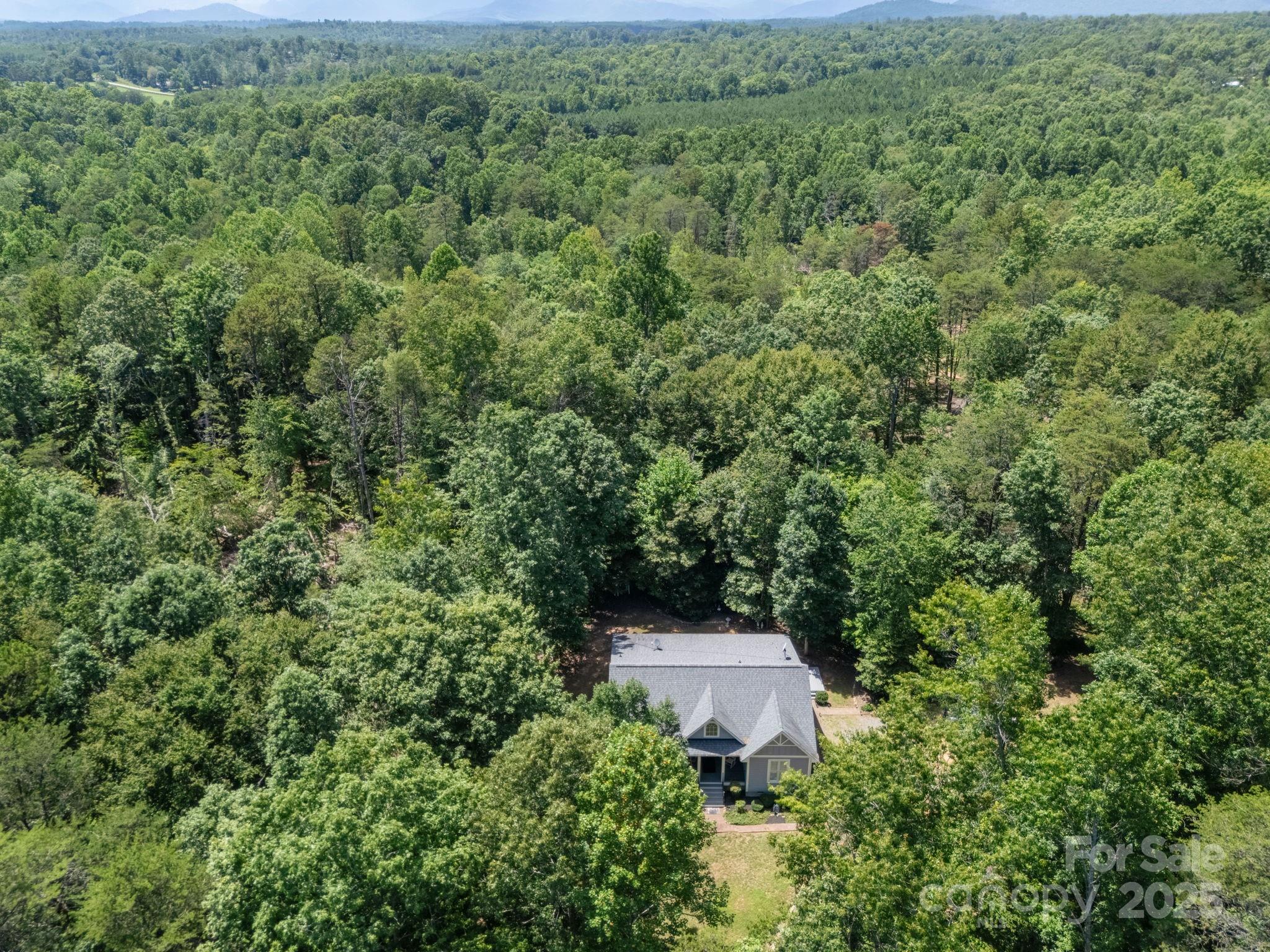 390 Darlington Road Rutherfordton, NC 28139 - Photo 3 of 43 Gallery Image 3