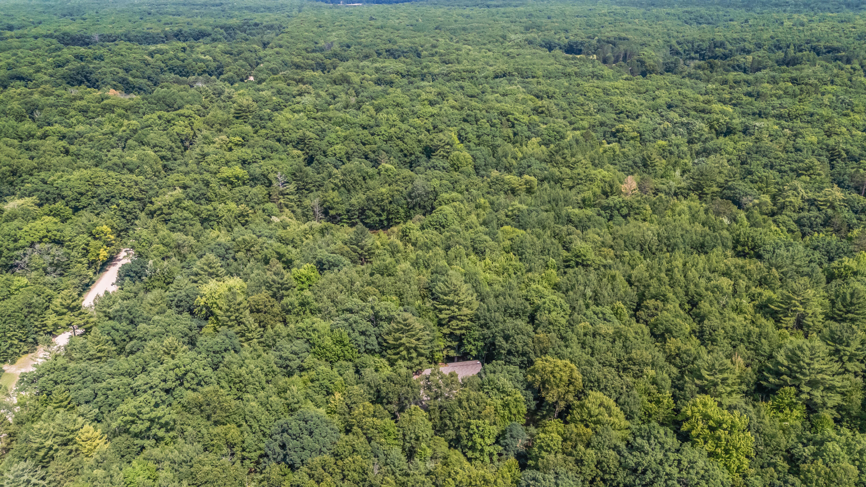 15 West 12 Mile Road Irons, MI 49644 - Photo 27 of 32 Lot15-12MileRd-Irons-29