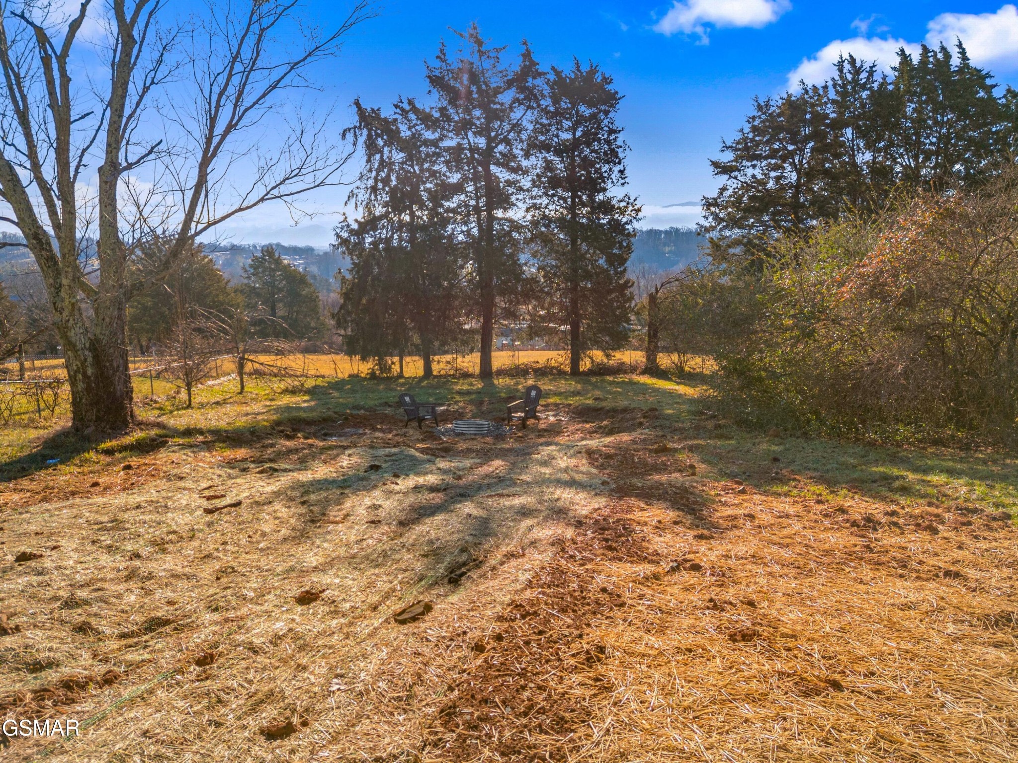 614 East Barton Ridge Road Greeneville, TN 37745 - Photo 29 of 33