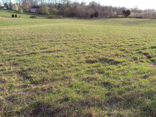 1 Long Creek Road Lafayette, TN 37083 - Photo 1 of 11 Gallery Image 1