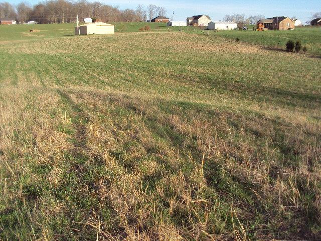 1 Long Creek Road Lafayette, TN 37083 - Photo 4 of 11 Gallery Image 4
