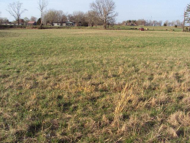 1 Long Creek Road Lafayette, TN 37083 - Photo 6 of 11 Gallery Image 6
