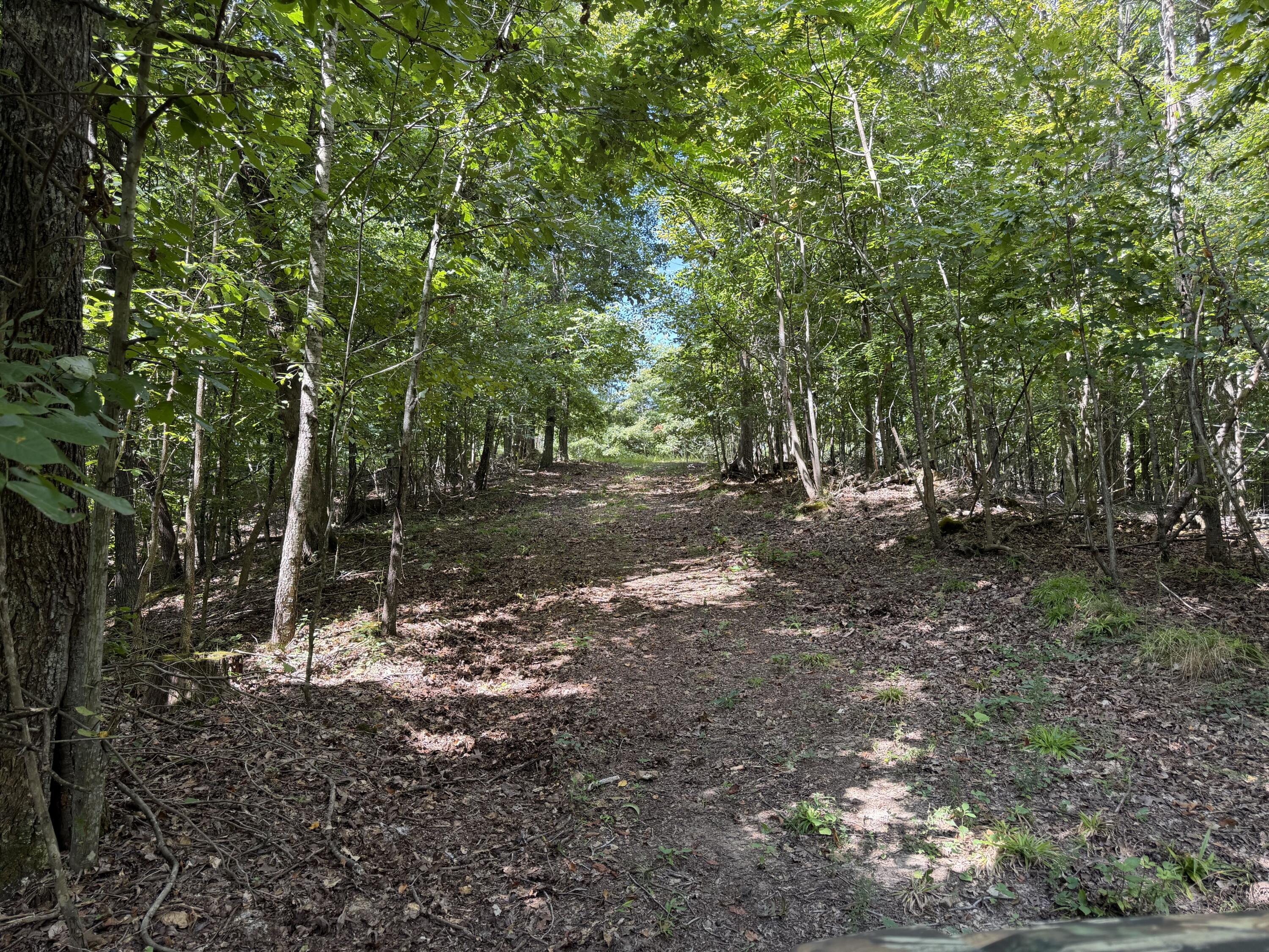 6861 Rockcastle Road Cadiz, KY 42211 - Photo 63 of 75 13