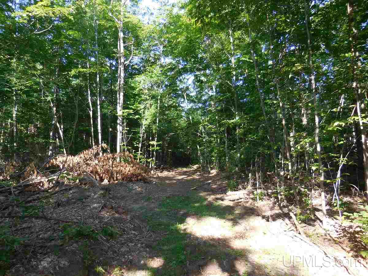 Tbd Tee Lake Road Germfask, MI 49836 - Photo 20 of 25