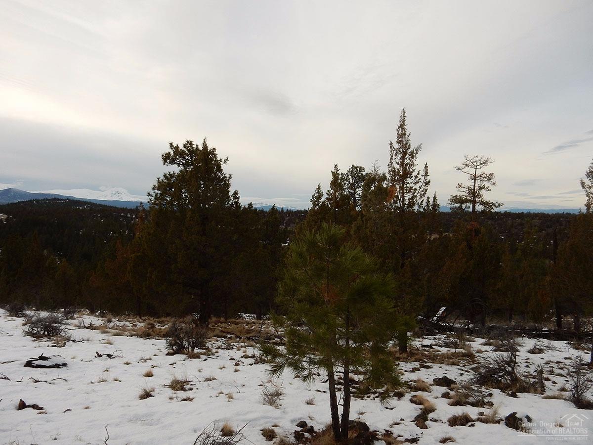 1660 Northwest Wild Rye Circle Bend, OR 97703 - Photo 14 of 20 Additional Photo