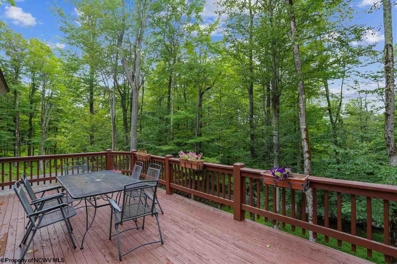 806 Cabin Mountain Road Davis, WV 26260 - Photo 14 of 30 Gallery Image 14