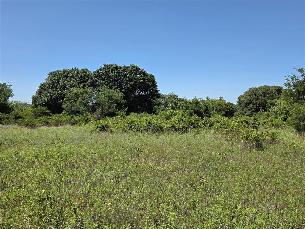1000 County Road 375 Rising Star, TX 76471 - Photo 39 of 40