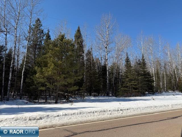 Virginia-ely Virginia Ely Road Babbitt, MN 55706 - Photo 2 of 5