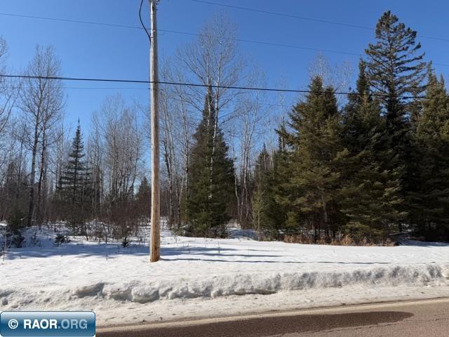 Virginia-ely Virginia Ely Road Babbitt, MN 55706 - Photo 5 of 5