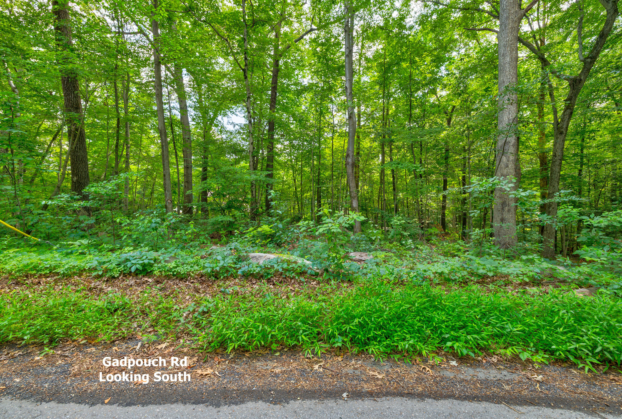 0 Gadpouch Road Cobalt, CT 06414 - Photo 11 of 19 a view of outdoor space and green space