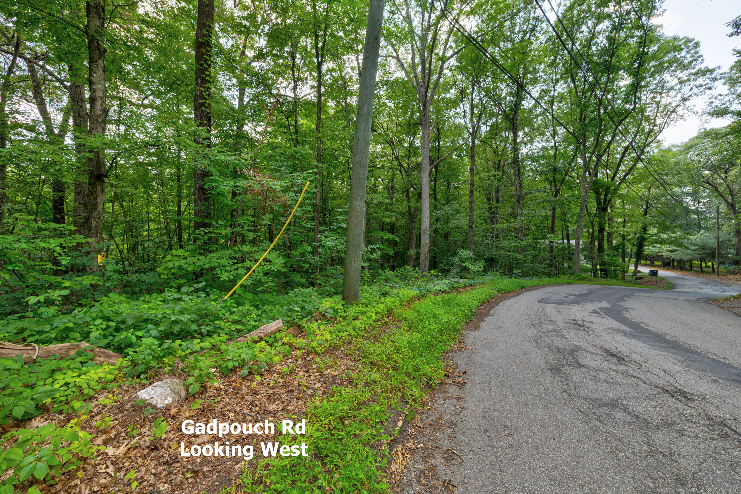 0 Gadpouch Road Cobalt, CT 06414 - Photo 12 of 19 a view of a street with a trees