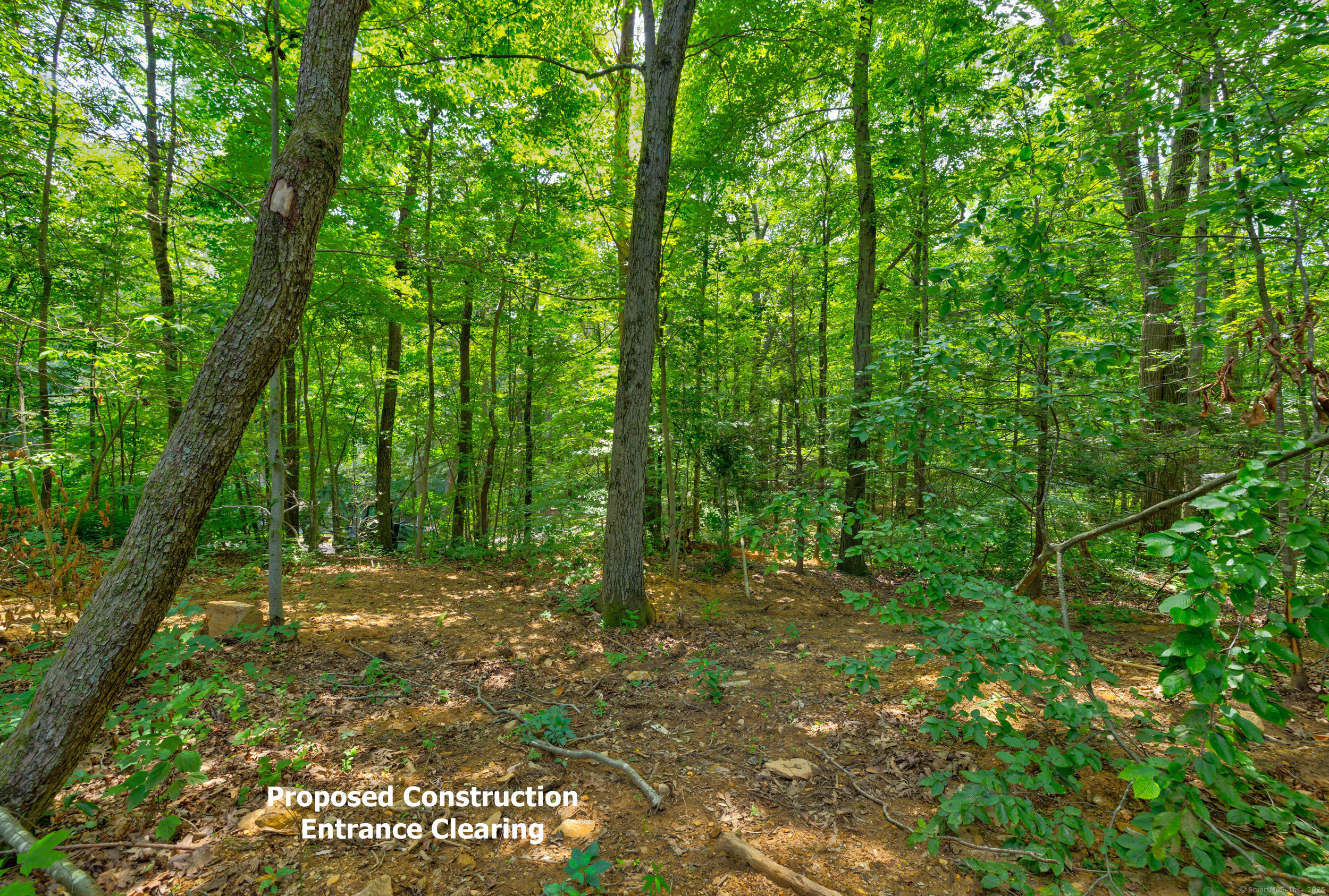 0 Gadpouch Road Cobalt, CT 06414 - Photo 6 of 19 a big yard with lots of green space and trees