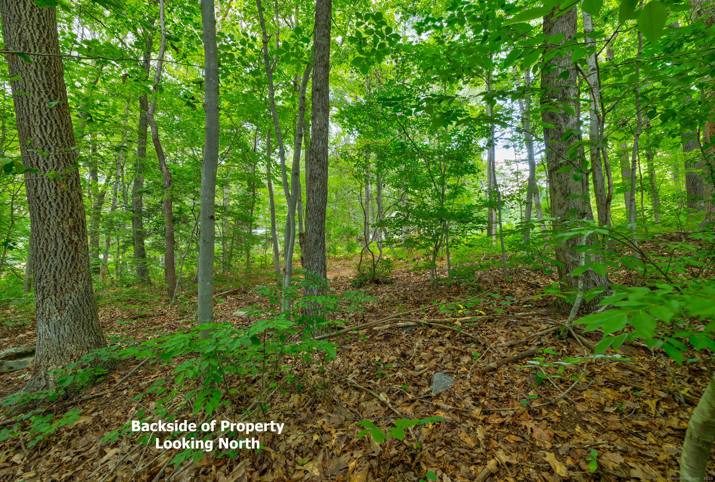 0 Gadpouch Road Cobalt, CT 06414 - Photo 7 of 19 a view of outdoor space and green space