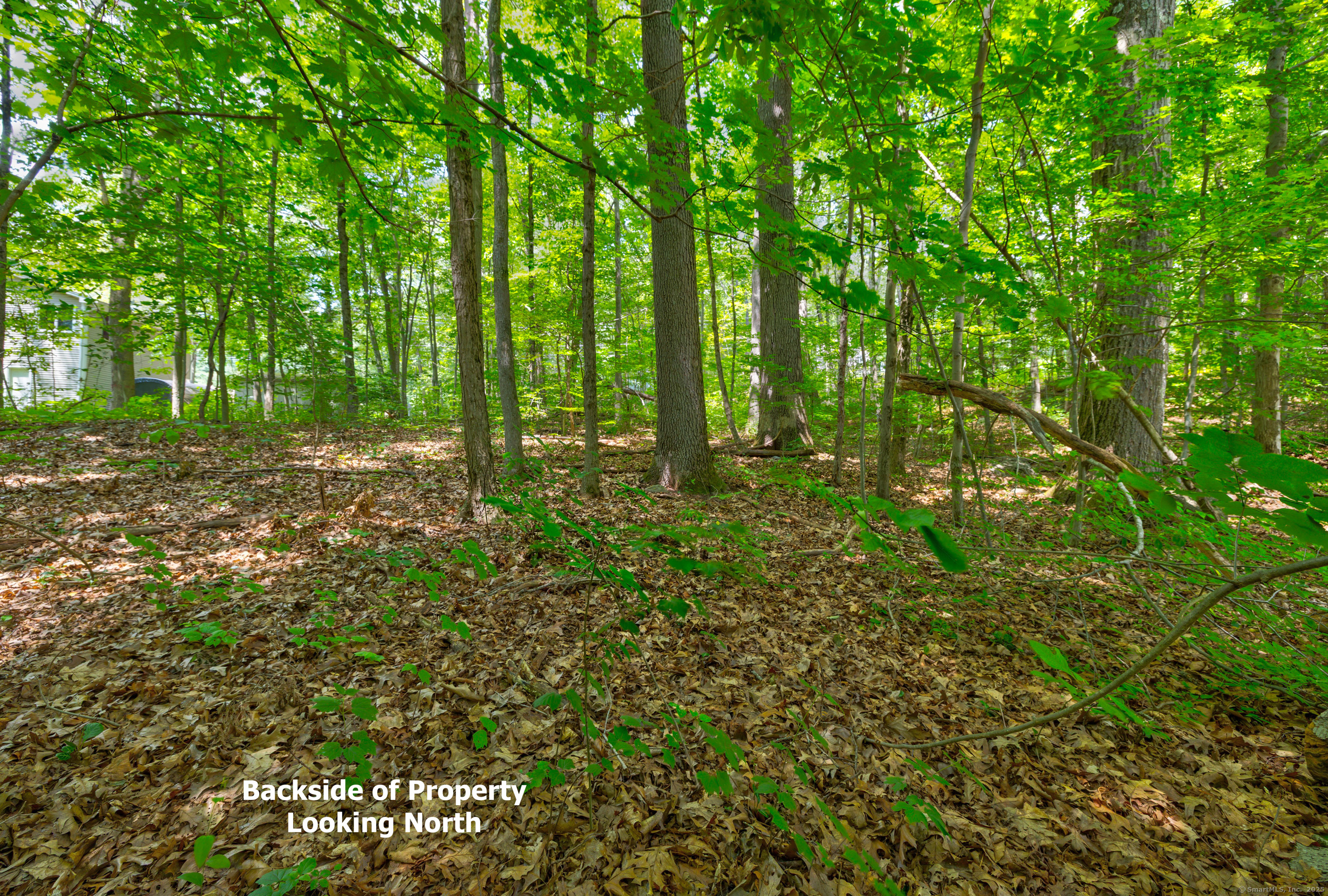 0 Gadpouch Road Cobalt, CT 06414 - Photo 8 of 19 a big yard with lots of green space and trees