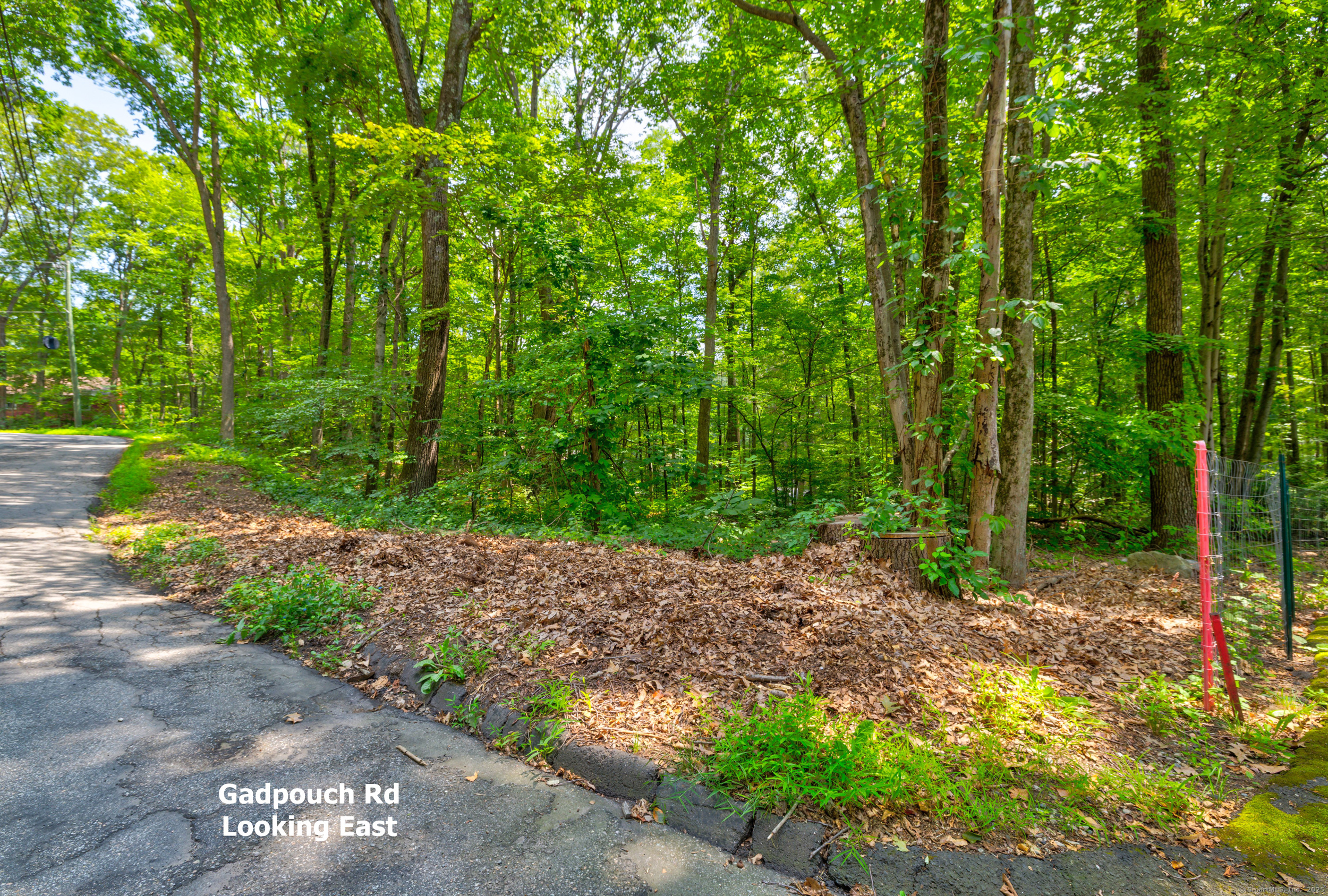 0 Gadpouch Road Cobalt, CT 06414 - Photo 9 of 19 a wooden bench with lots of trees