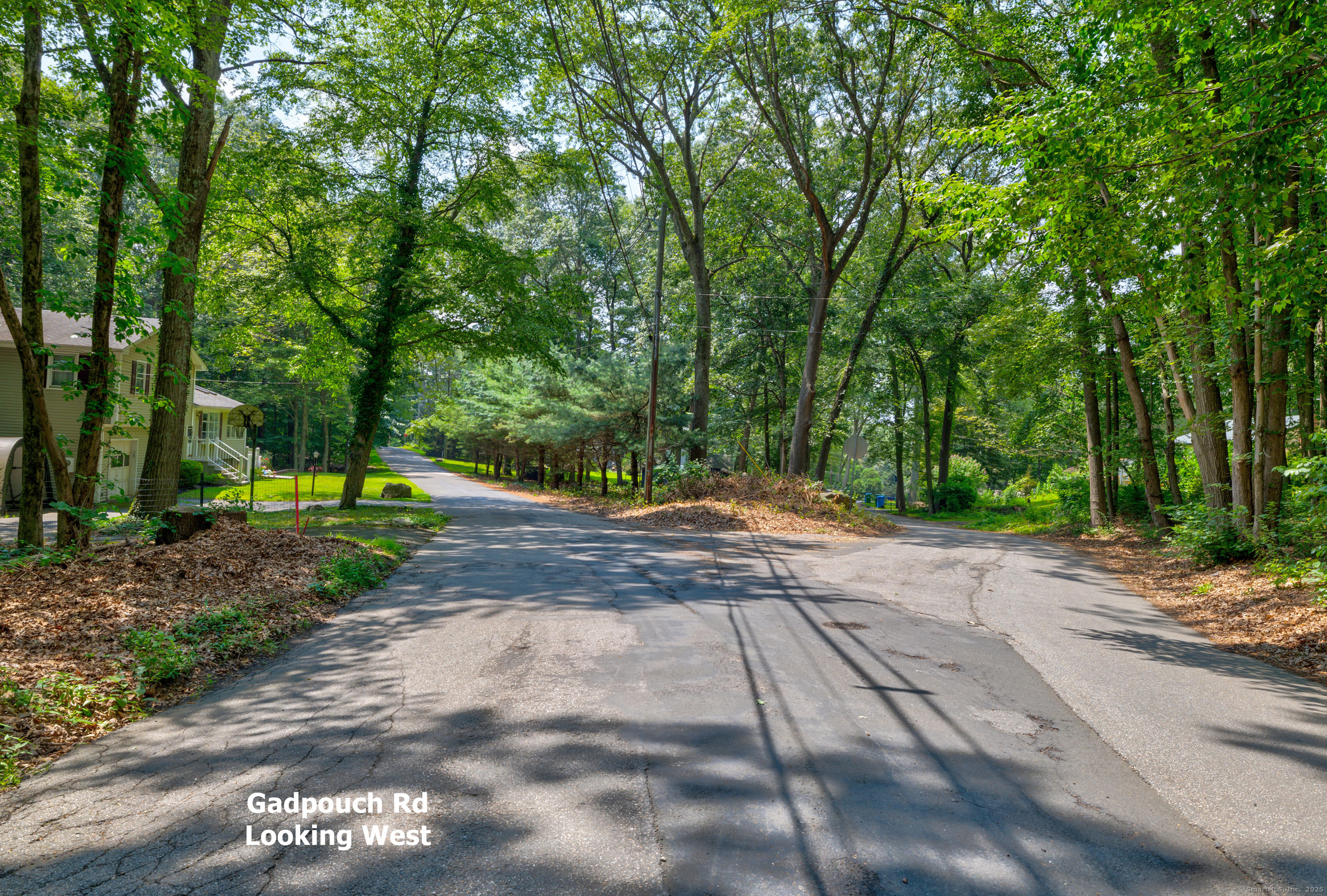 0 Gadpouch Road Cobalt, CT 06414 - Photo 10 of 19 a view of a street with a trees