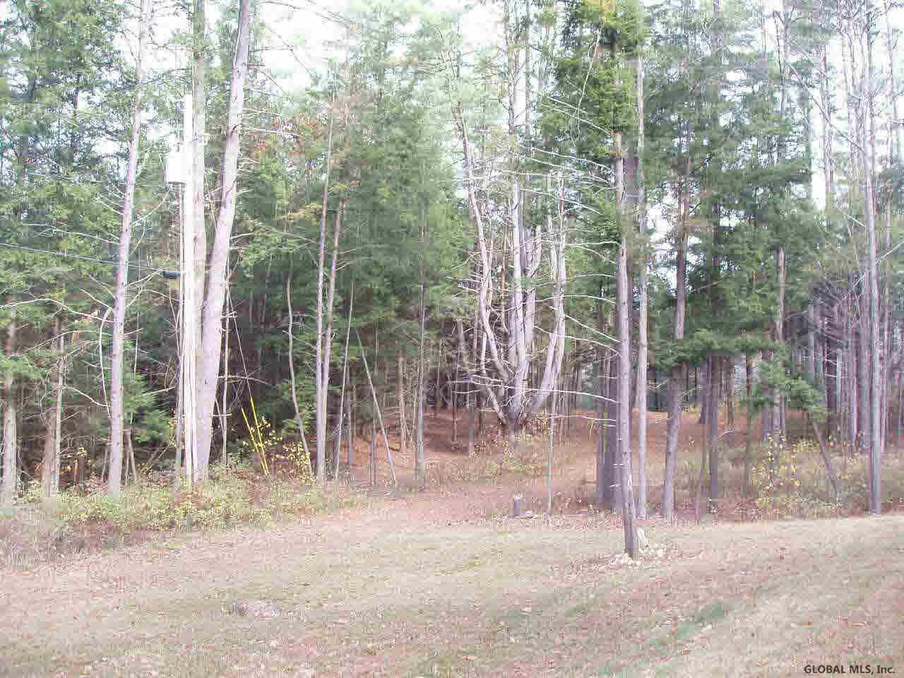 19 Comeau Road Lake Luzerne, NY 12846 - Photo 2 of 10 Photo 2