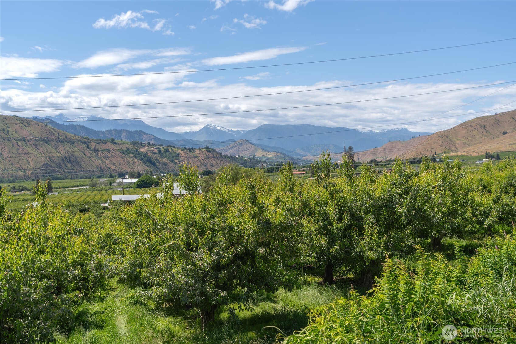 0 Red Apple Road Cashmere, WA 98815 - Photo 21 of 38 a view of a yard with an outdoor space