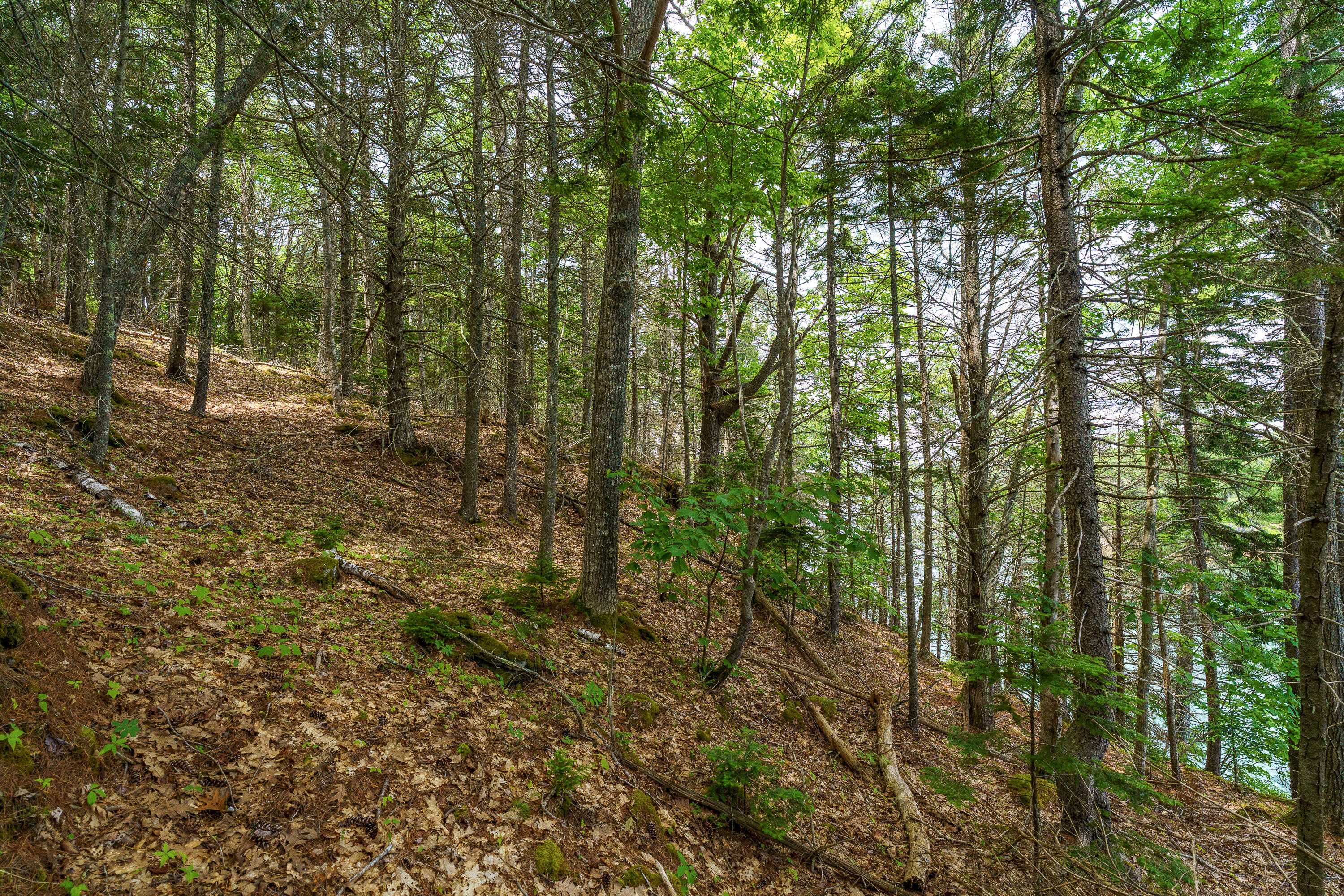 205 Steves Road Boothbay, ME 04537 - Photo 14 of 17 205 Steves Rd. Boothbay-26