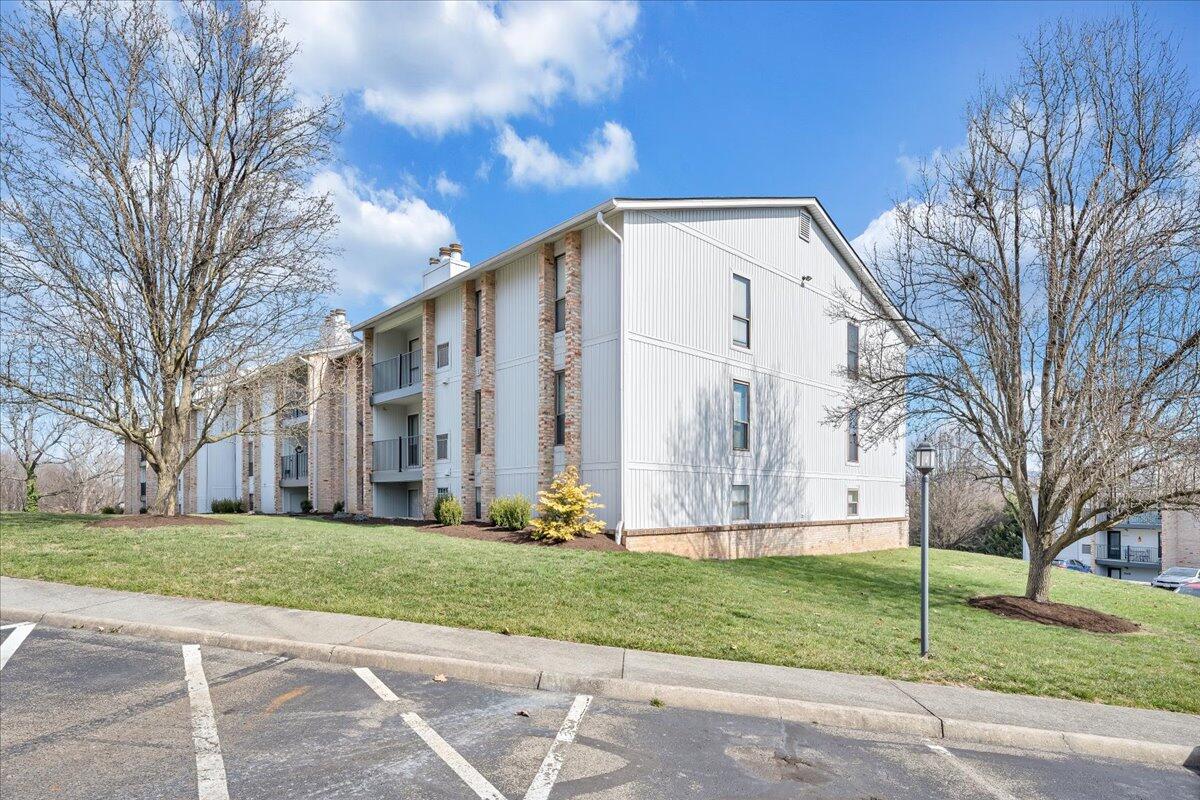 3607 Timberline Trail Roanoke, VA 24018 - Photo 23 of 24 a backyard of house with that has a large tree