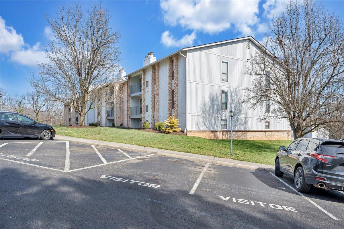 3607 Timberline Trail Roanoke, VA 24018 - Photo 24 of 24 a view of a street with a large tree
