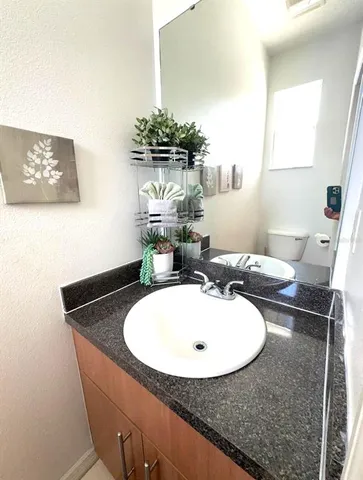 a bathroom with a sink a mirror and a potted plant