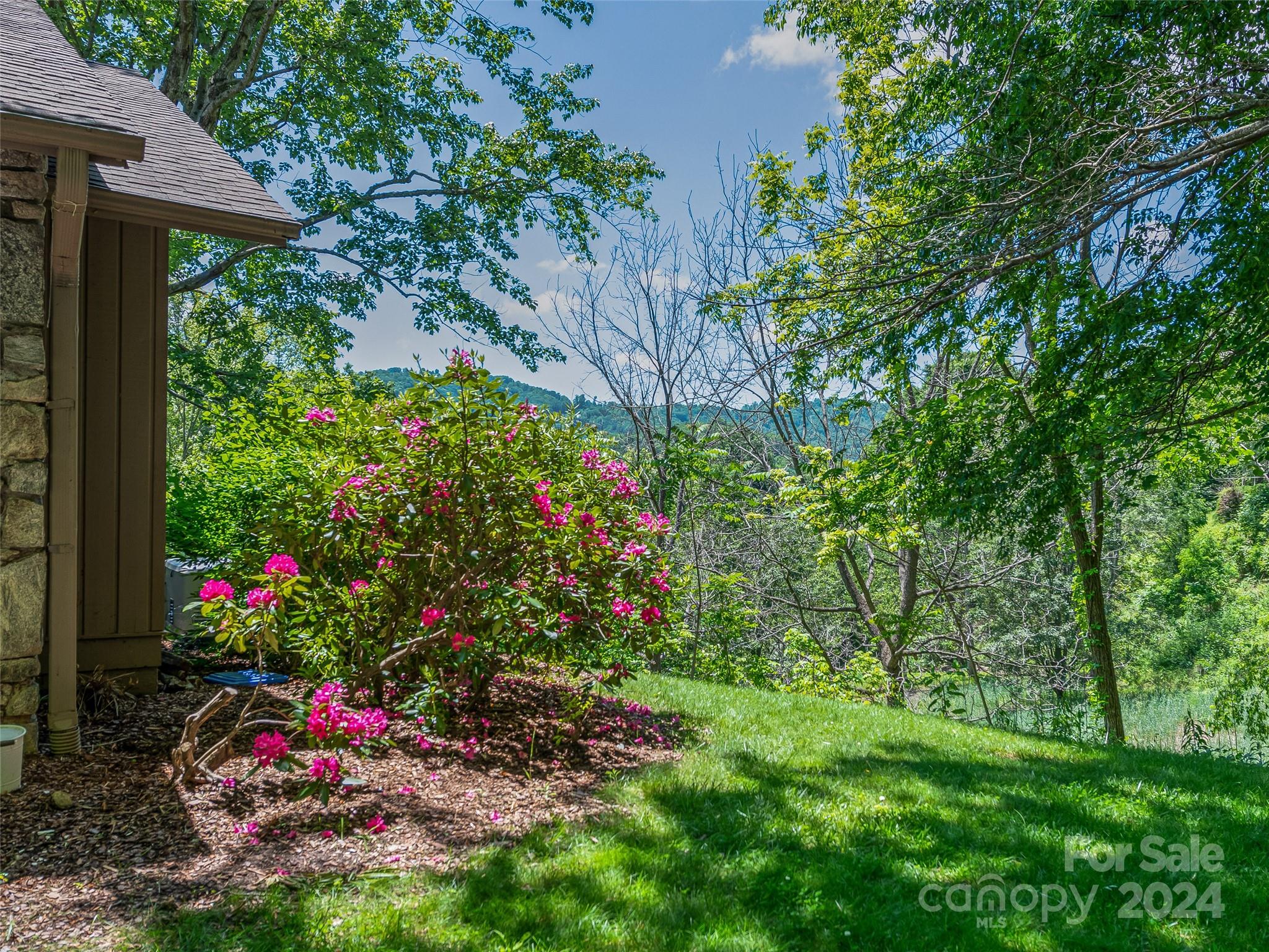 36 Stony Ridge Asheville, NC 28804 - Photo 3 of 38 a view of a backyard with plants