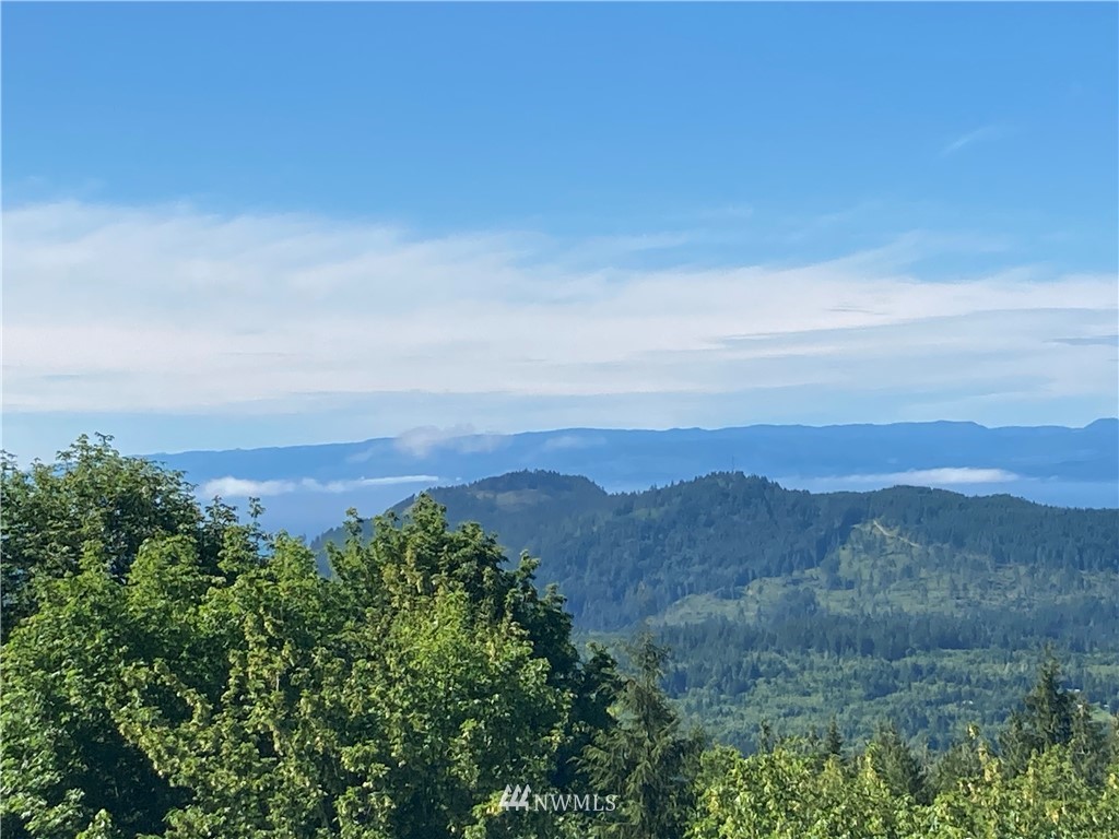 999 Eagle Heights Road Port Angeles, WA 98363 - Photo 2 of 31 Gallery Image 2