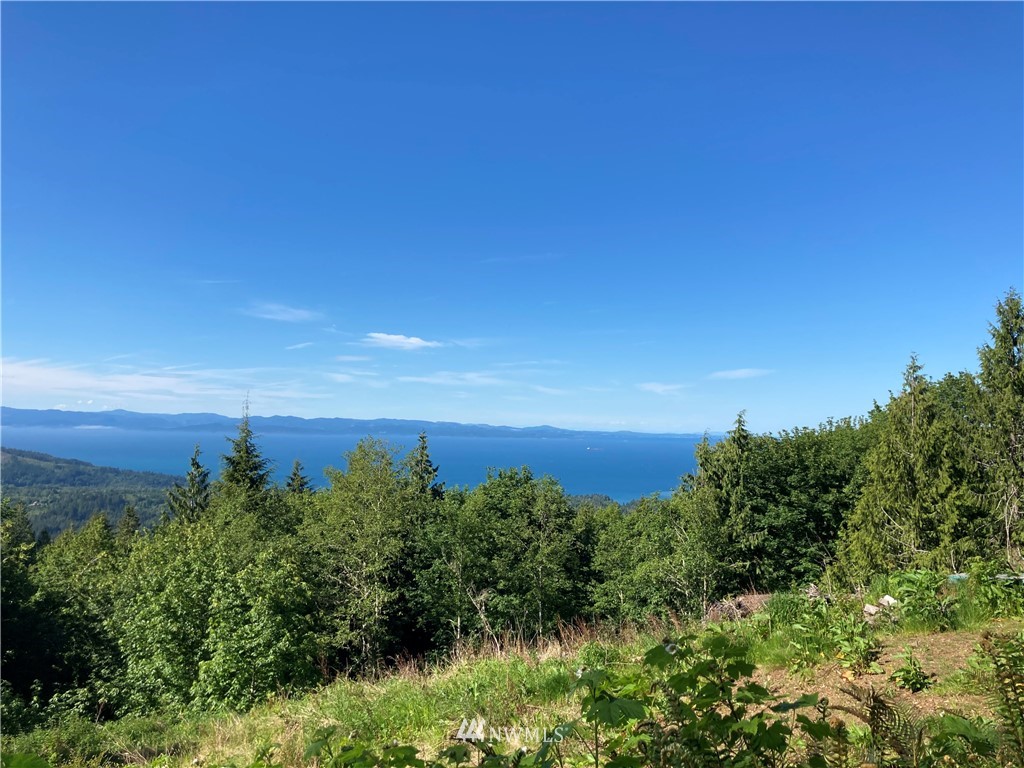 999 Eagle Heights Road Port Angeles, WA 98363 - Photo 11 of 31 Gallery Image 11