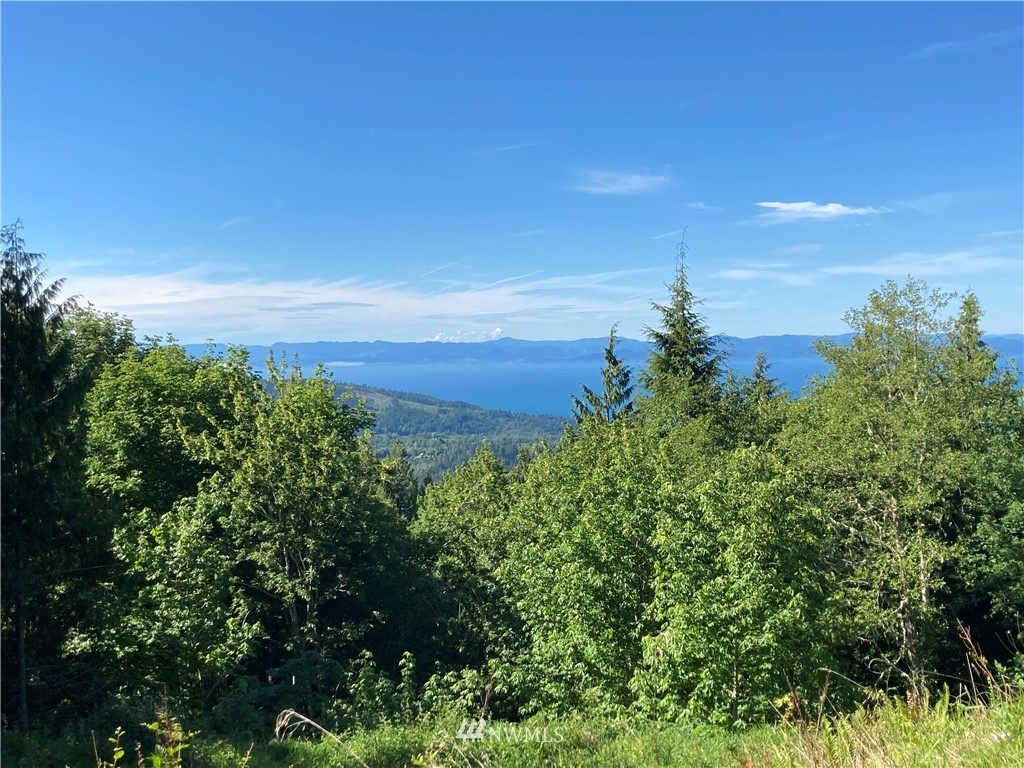 999 Eagle Heights Road Port Angeles, WA 98363 - Photo 16 of 31 Gallery Image 16