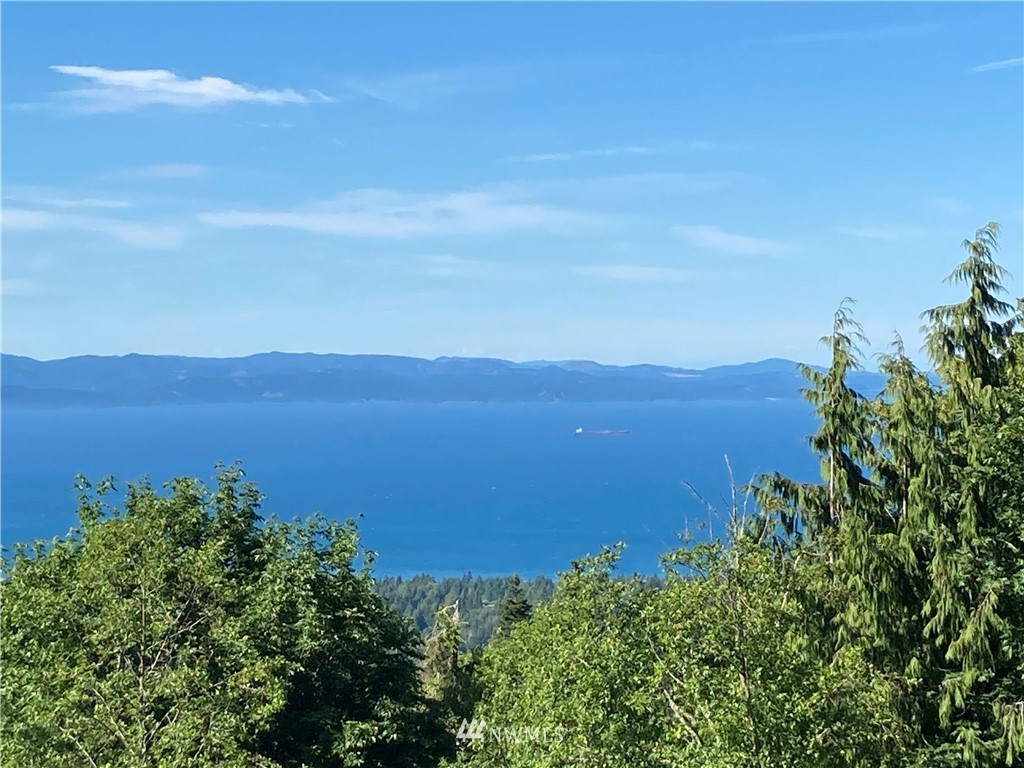 999 Eagle Heights Road Port Angeles, WA 98363 - Photo 3 of 31 Gallery Image 3