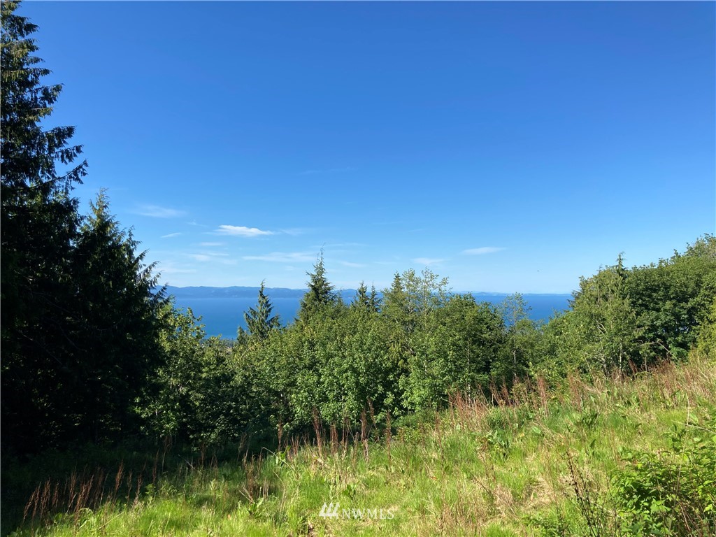 999 Eagle Heights Road Port Angeles, WA 98363 - Photo 23 of 31 Gallery Image 23