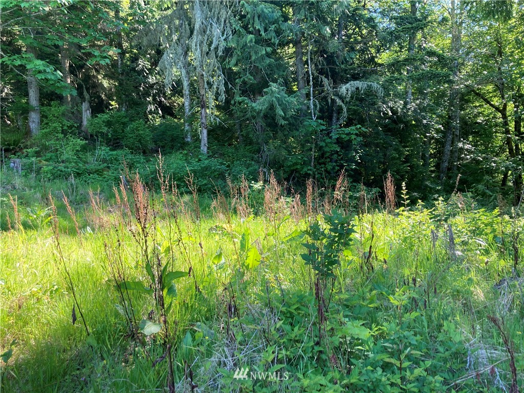999 Eagle Heights Road Port Angeles, WA 98363 - Photo 28 of 31 Gallery Image 28