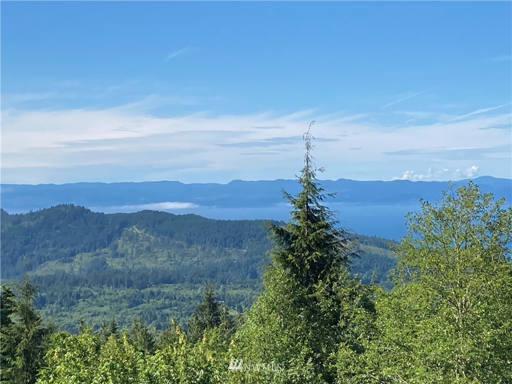 999 Eagle Heights Road Port Angeles, WA 98363 - Photo 4 of 31 Gallery Image 4