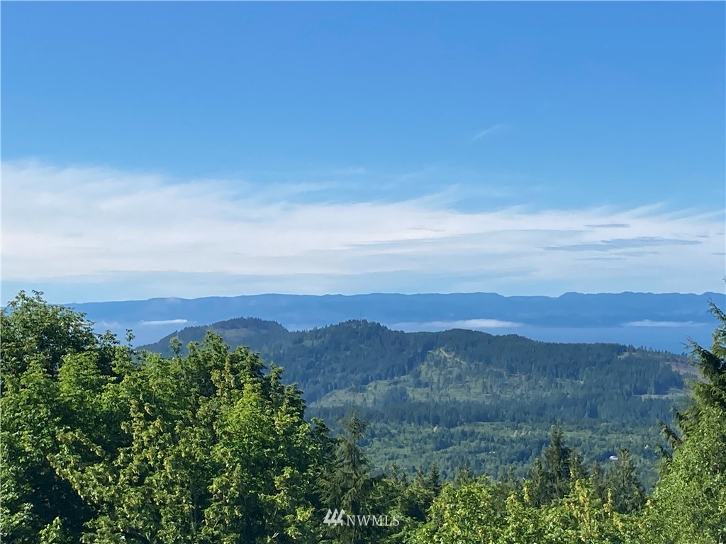 999 Eagle Heights Road Port Angeles, WA 98363 - Photo 5 of 31 Gallery Image 5