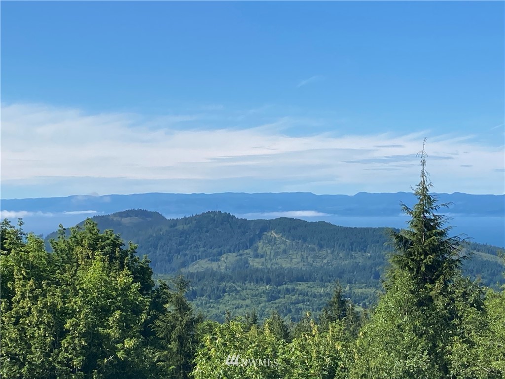 999 Eagle Heights Road Port Angeles, WA 98363 - Photo 6 of 31 Gallery Image 6