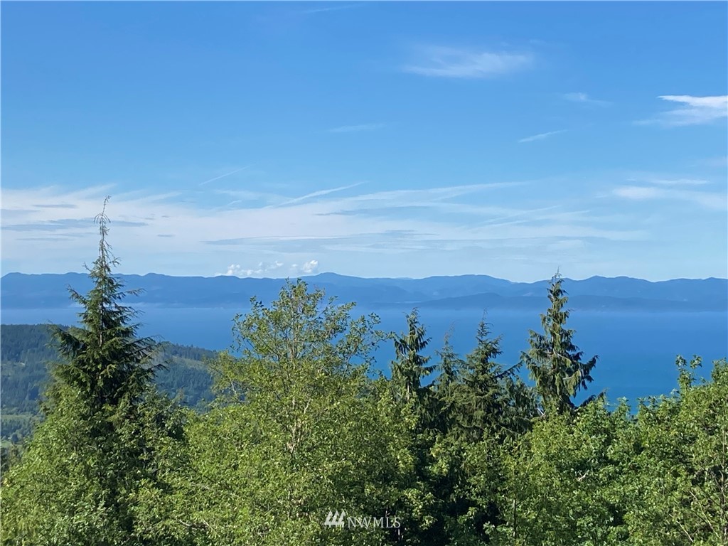 999 Eagle Heights Road Port Angeles, WA 98363 - Photo 10 of 31 Gallery Image 10