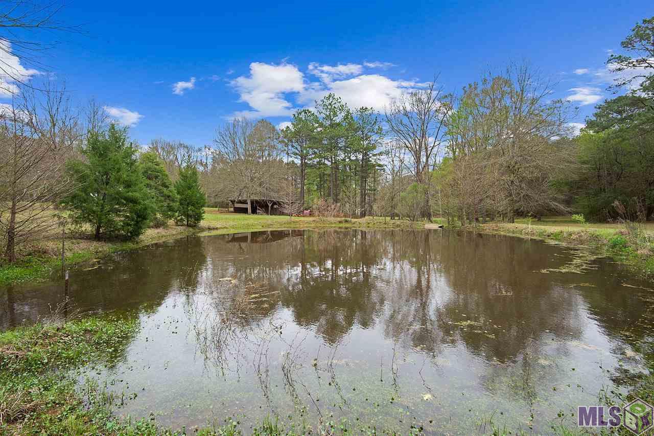 7219 River Road Clinton, LA 70722 - Photo 6 of 18 Gallery Image 6