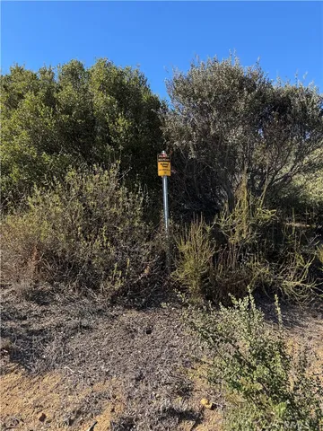 a view of dirt yard with a tree