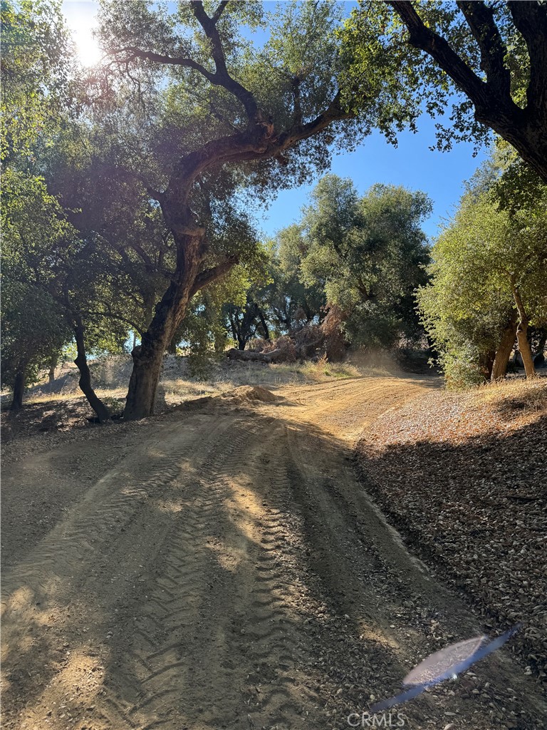 0 Arroyo Road Lake Elsinore, CA 92530 - Photo 17 of 59 a view of dirt yard with a tree